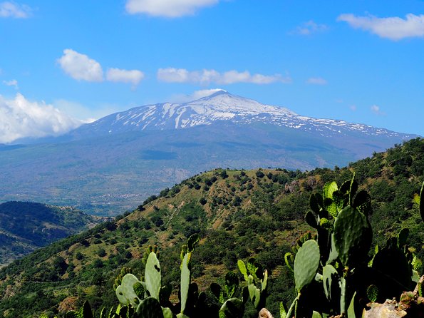 Etna Grantour - 4x4 & trekking - Private tour with lunch included - Mount Etna Up Close: Not Just a Volcano, a Whole Altitude World