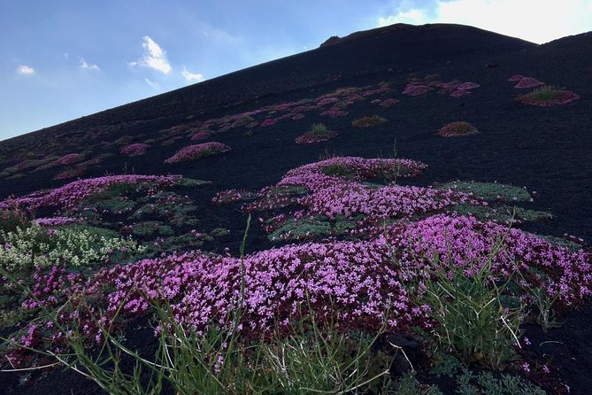Etna Grantour - 4x4 & trekking - Private tour with lunch included - Silvestri Craters: Lateral Eruption Cones From 1892