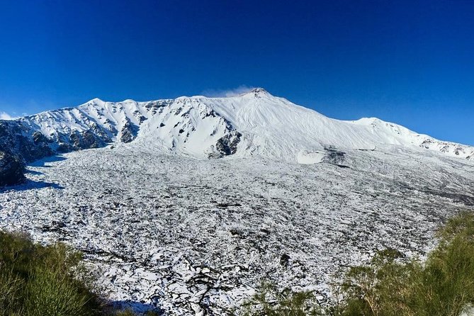 Etna Grantour - 4x4 & trekking - Private tour with lunch included - Valle del Bove: The Volcanic Amphitheater Moment