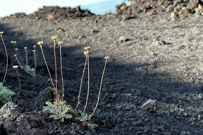 Etna Morning or Sunset - Trek & Lava Tunnel with Gear - Gear and comfort: what’s included, and what it means for you