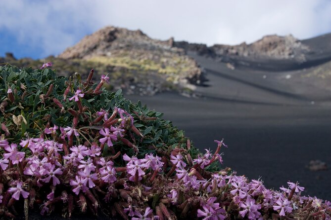 Etna's Hidden Gems - Trek Valle Bove & Lava Tunnel with Gear - Price and value: is $78.61 a fair deal for Etna?