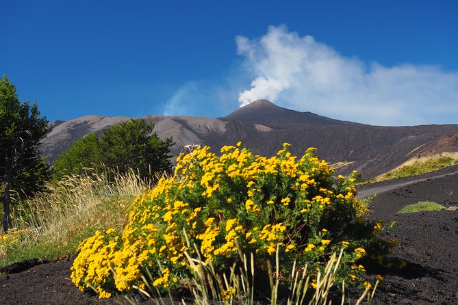 ETNA - Trekking to the Craters Eruption of 2002 - Who this trek is best for (and who should think twice)