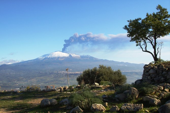Etna: Trekking to the summit craters at 3,340 meters - Climbing Toward the 2001 Eruption Crater: Why This Part Changes the Day