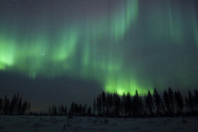 Evening Ski Trek to the Wilderness - Extra Small group - Night-Skiing in Rovaniemi’s Quiet Woods: What the Timing Actually Means