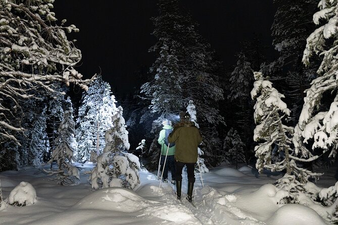 Evening Ski Trek to the Wilderness - Extra Small group - Stop 1: Perunkajärvi and the Kota Fire-Basecamp