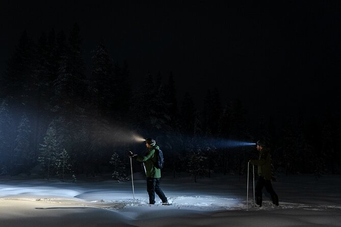 Evening Ski Trek to the Wilderness - Extra Small group - Price and Value: What You Get for Around $118.96