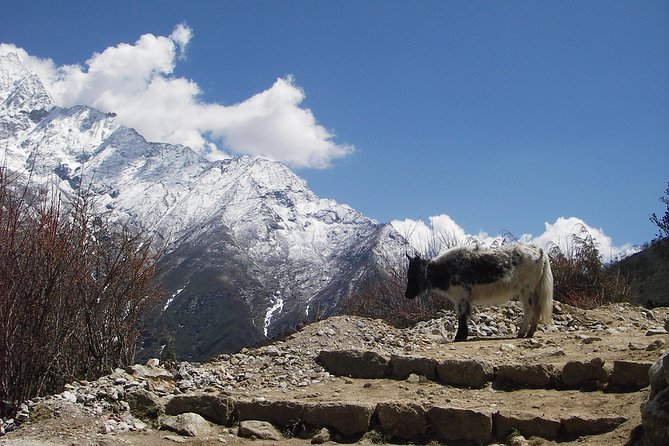 Everest Base Camp - Cho La Pass - Gokyo Trek - Entering the Everest region through a private-style circuit