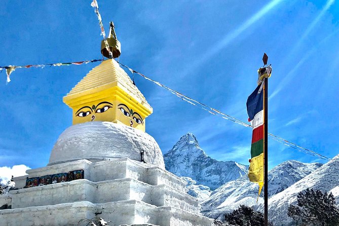 Everest Base Camp & Gokyo Ri Trek - Thame, Dole, and Machhermo: Rhododendron, Juniper, and Yak-Summer Settlements