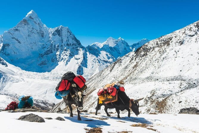 Everest Base Camp Trek - 14 Days - Days 8 to 10: Lobuche, Everest Base Camp at 5,365 m, and Kala Patthar at 5,555 m
