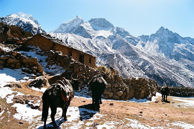 Everest Base Camp Trek 16 Days - Everest-area highlights: what you’re actually aiming to see