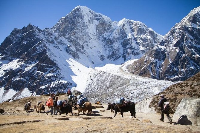 Everest Base Camp Trek with Helicopter Return to Lukla - 10 Days - Everest Base Camp, With a Helicopter Out: Why This Format Works
