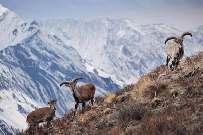 Everest Base Camp Trek with Kathmandu Valley Sightseeing Tour - Lukla Flight Reality: why you should build in buffer days
