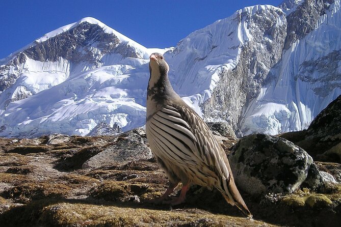 Everest Base Camp Trek with Kathmandu Valley Sightseeing Tour - Everest Base Camp Moment: standing on the doorstep of the highest peak