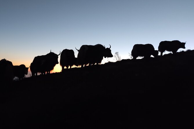 Everest Base Camp Trekking - Who this trek is best for (and who should think twice)