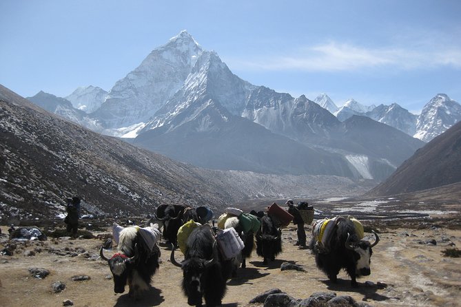 Everest Three (High) Passes Trekking - Fitness, Gear, and Altitude Reality Checks (No Technical Climbing Needed)