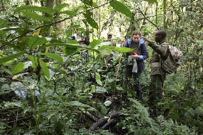 Experience Chimpanzee Trekking in Budongo Forest - The itinerary pace: how the 4-hour tracking day unfolds