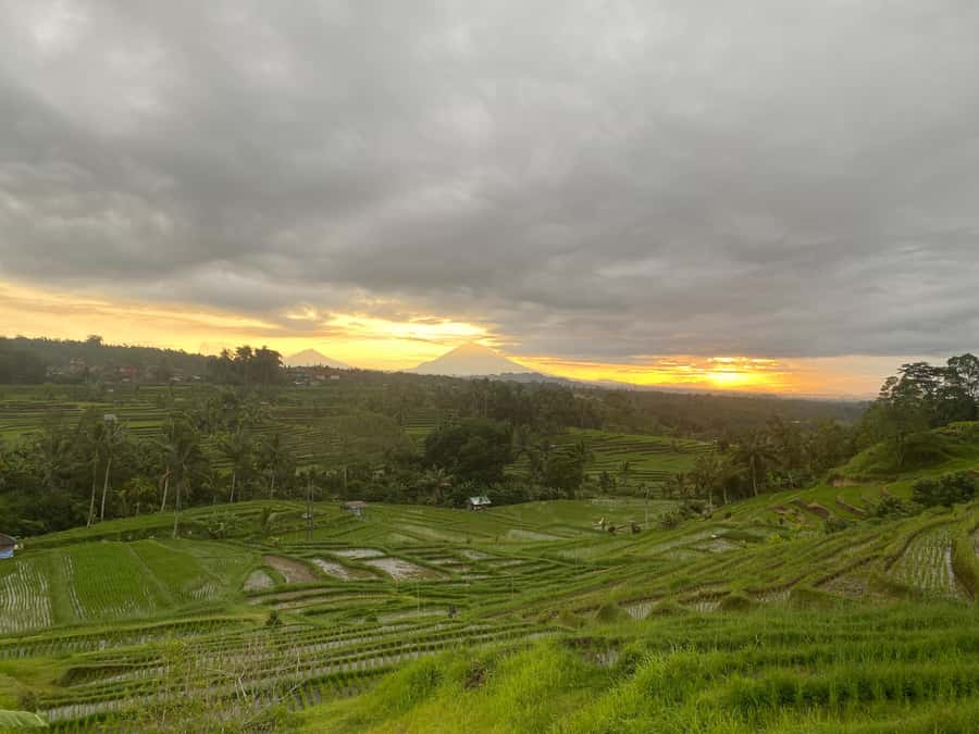 Explore rice terraces munduk & waterfall trekking experience - Buyan & Tamblingan lakes: where the views open up