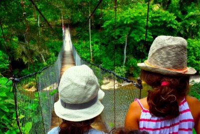 FAMILY JUNGLE TOUR: Orangutan Trek (4-hours hike) by EcoTravel Bukit Lawang - What you’ll do on the hike: rainforest movement and valley views