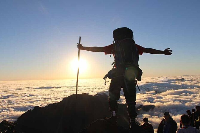 Fansipan Mount Trekking 1 Day - Reaching the summit around noon to 1 pm: what to expect at the top