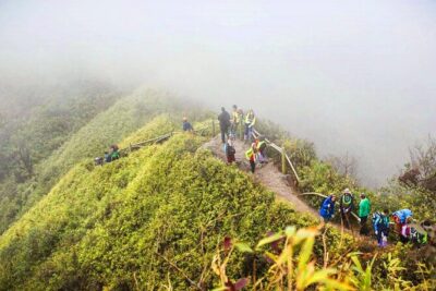 Fansipan Mount Trekking 1 Day - Tram Ton Pass trail to the bamboo forests: where the day gets real