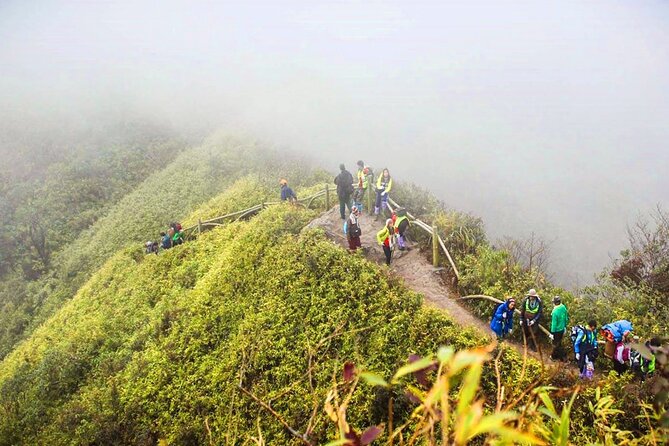 Fansipan Mount Trekking 1 Day - Tram Ton Pass trail to the bamboo forests: where the day gets real