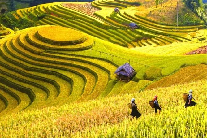 Fansipan Mountain, Cat Cat Village, Rice Terrace 2 Day Sapa Tour - Ta Van Village Batik Workshop: Learn One Skill, Not Just a Photo Stop