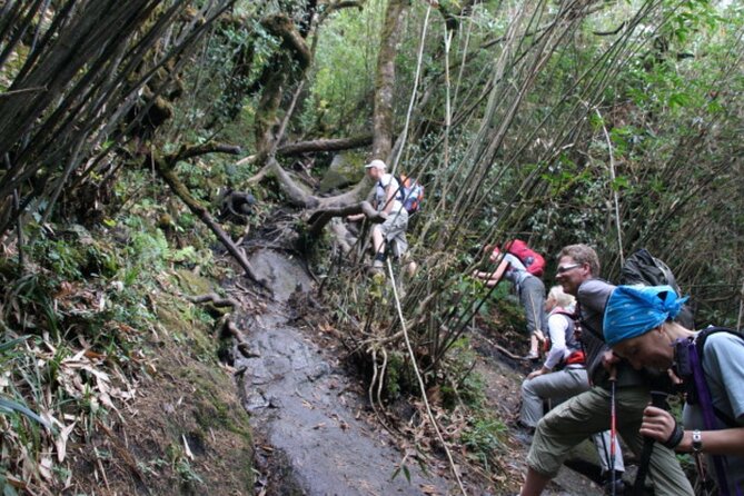 Fansipan Trek One Day Tour – Roof of Indochina - Price and value at $98: what you’re actually paying for