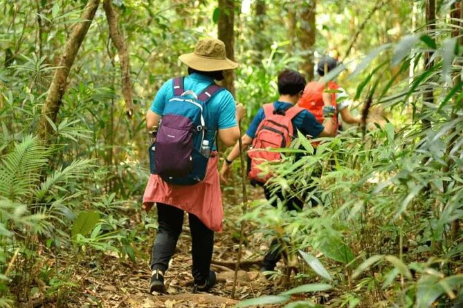 Fansipan Trek One Day Tour – Roof of Indochina - What kind of traveler should book this one-day Fansipan trek?