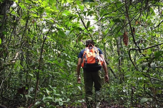 Fansipan Trek One Day Tour – Roof of Indochina - Should you book this Fansipan One Day Tour?