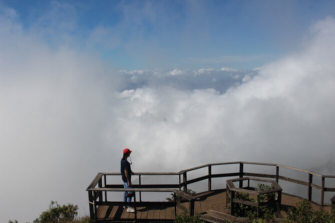 Fantastic! Famous Doi Inthanon National park tour with 2hr trekking - Trek planning: Kew Mae Pan vs Pha Dok Siew (season-based choices)