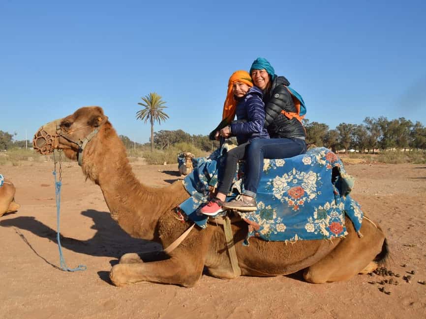 From Agadir: Camel Ride and Flamingo Trek - Key things to know before you go