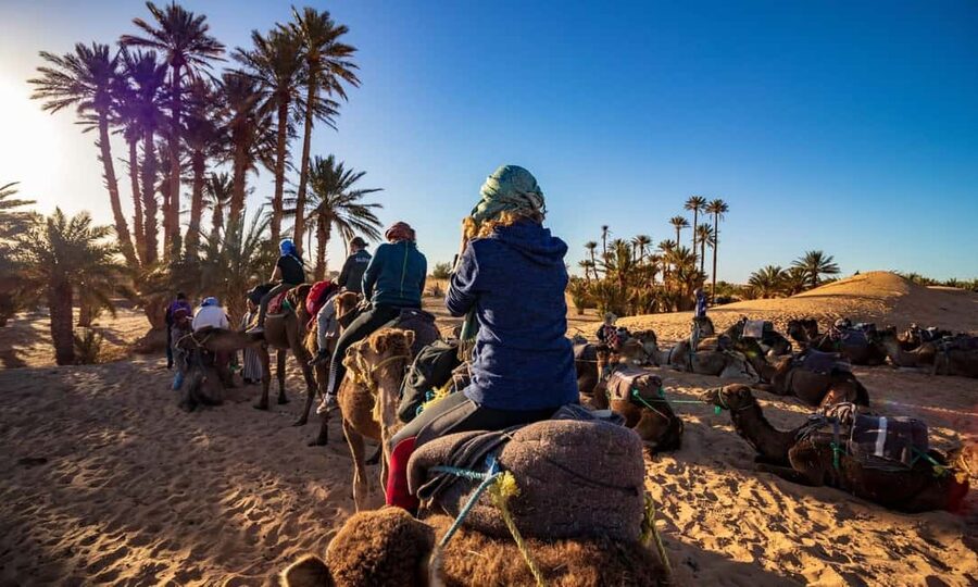 From Agadir: Camel Ride and Flamingo Trek - Price and Value Around $19: What You Get for Your Money
