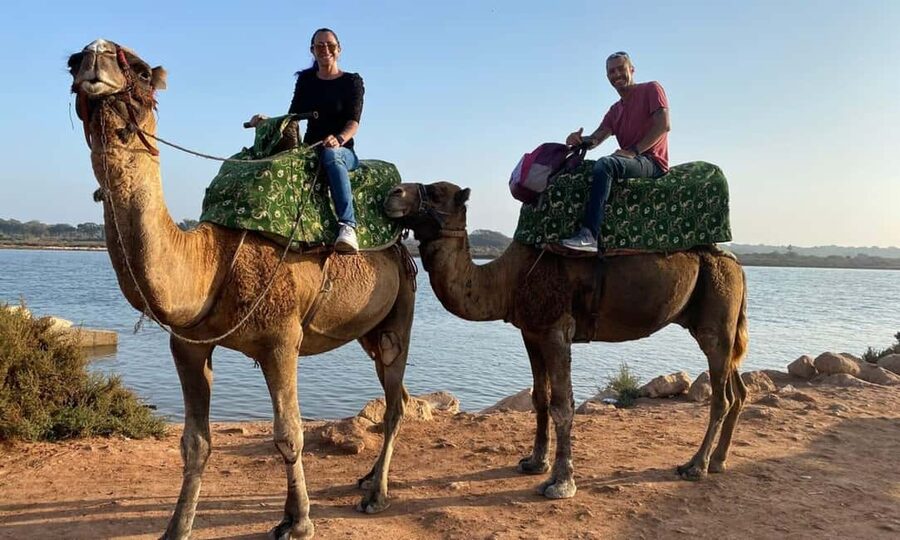 From Agadir: Camel Ride and Flamingo Trek - Timing and Heat: The Real Make-or-Break Factor
