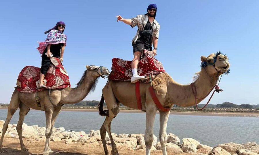 From Agadir: Camel Ride and Flamingo Trek - Practical Tips Before You Go (So the Day Runs Smooth)
