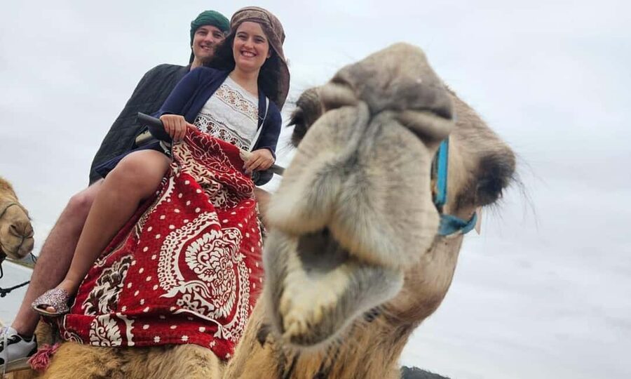 From Agadir: Camel Ride and Flamingo Trek - The Route Along the Souss River: Where Flamingoes Come In
