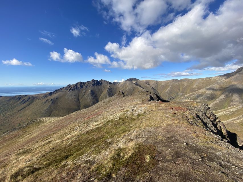 From Anchorage: Chugach State Park Guided Alpine Trek - Flora and Fauna: How the Guide Turns Plants and Rocks Into Real Knowledge