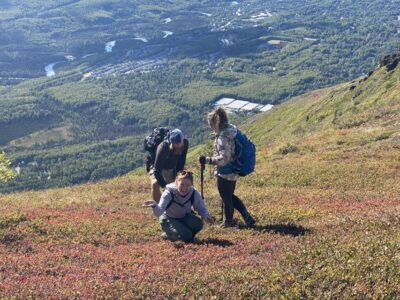 From Anchorage: Chugach State Park Guided Alpine Trek - The 5-Hour Hike: Tundra, Ridgelines, and Big Stops