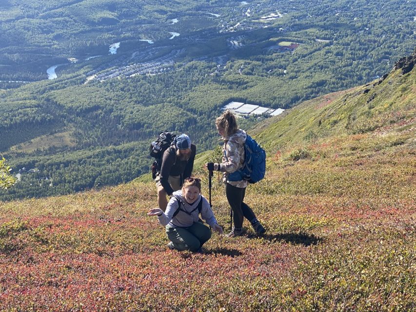 From Anchorage: Chugach State Park Guided Alpine Trek - The 5-Hour Hike: Tundra, Ridgelines, and Big Stops
