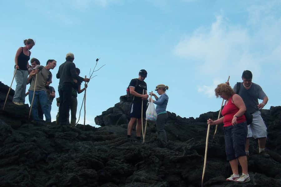 From Antigua: Pacaya Volcano Trek - What you’ll see from Pacaya: Agua, Fuego, Acatenango, El Salvador
