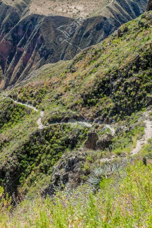 From Arequipa: 2-Day Colca Canyon Trekking Tour - Night at Sangalle: rest time, pool time, and the value of recovery