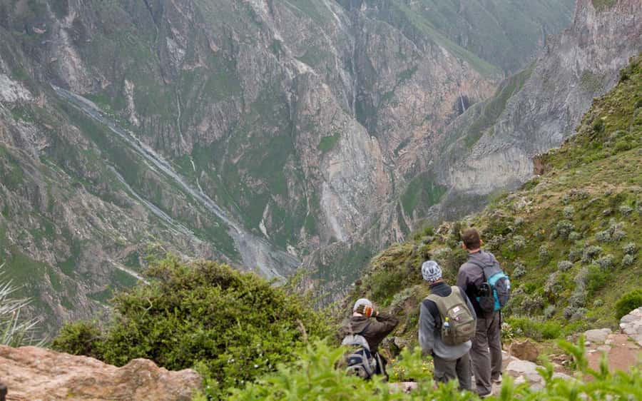 From Arequipa: 2-Day Colca Canyon Trekking Tour - Cruz del Cóndor: condors, canyon depth, and photo stops that actually work