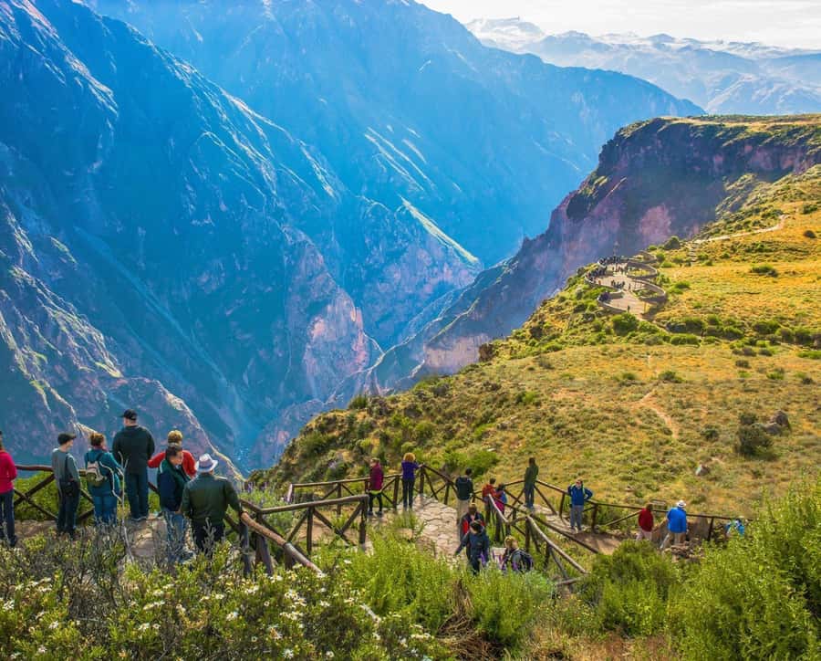 From Arequipa Trek : 2-Days of Hiking in the Colca Canyon - Sunrise Climb and Cabanaconde: When the Second Day Gets Serious