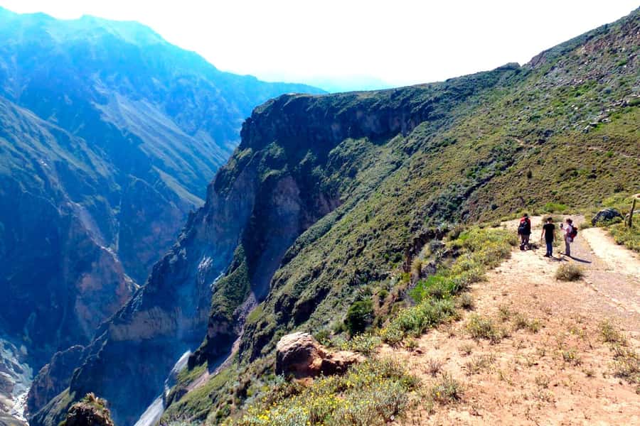 From Arequipa Trek : 2-Days of Hiking in the Colca Canyon - Cruz del Cóndor Viewpoint: Condors at the Right Time, Not Just a Random Stop