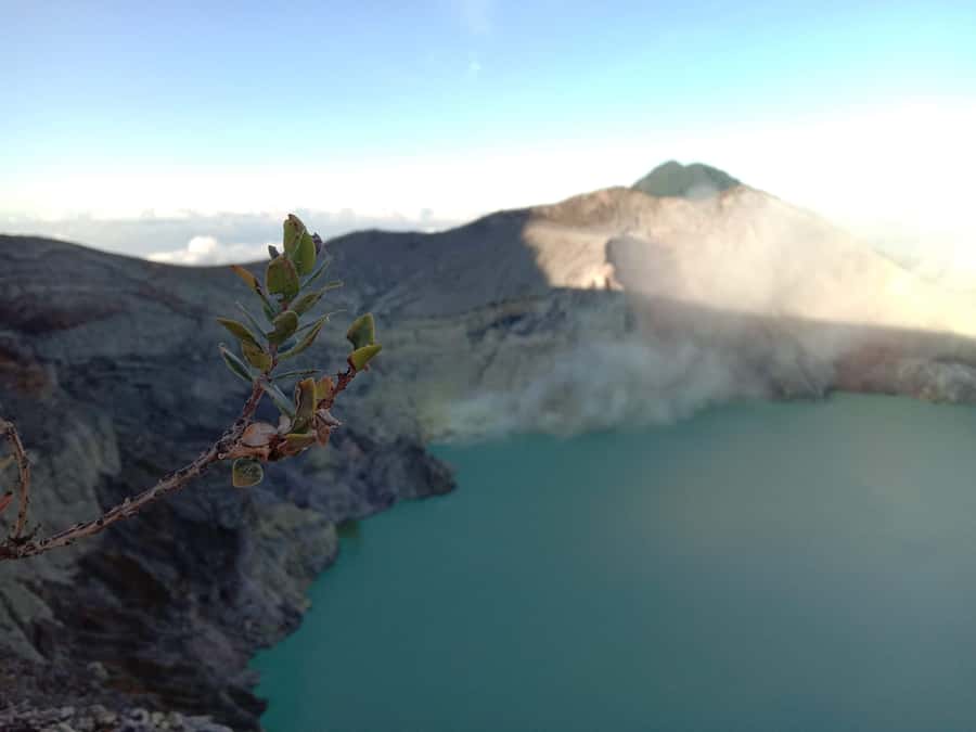 From Bali : The Majestic Mount Ijen Sunrise Trekking - Blue Flames and the Sulfur Lake: What to Expect Inside the Crater Scene