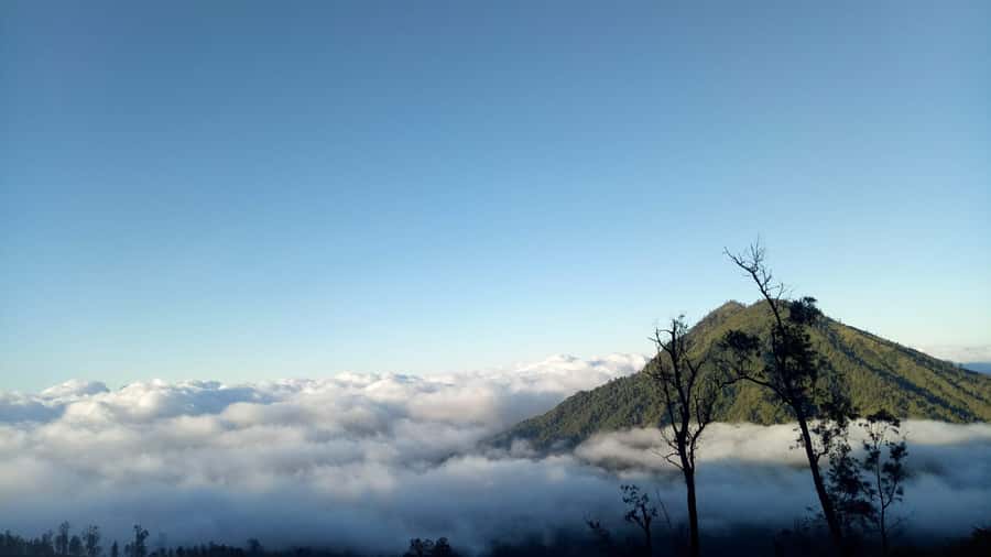 From Bali : The Majestic Mount Ijen Sunrise Trekking - Food, Break Time, and What You’ll Need to Handle Yourself