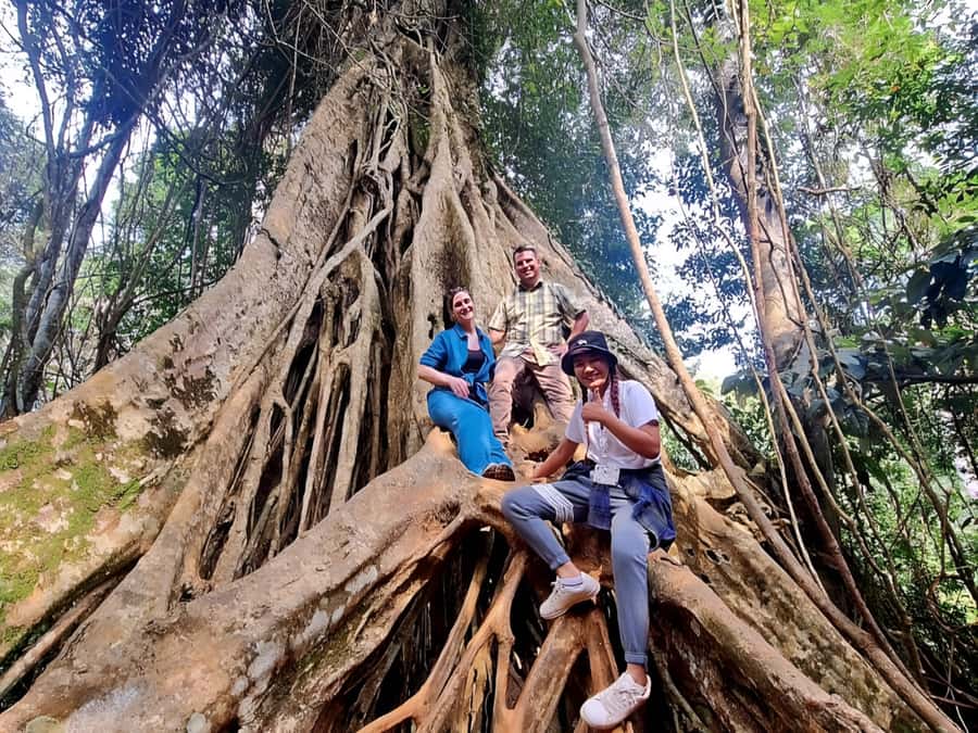 From Bangkok: Khao Yai National Park Jungle Trek with Lunch - What to Pack (So You Don’t Regret It Later)