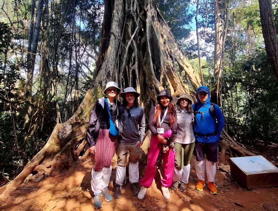 From Bangkok: Khao Yai National Park Jungle Trek with Lunch - Nong Phak Chi Trail (Km 33): The 2.5-Hour Jungle Trek