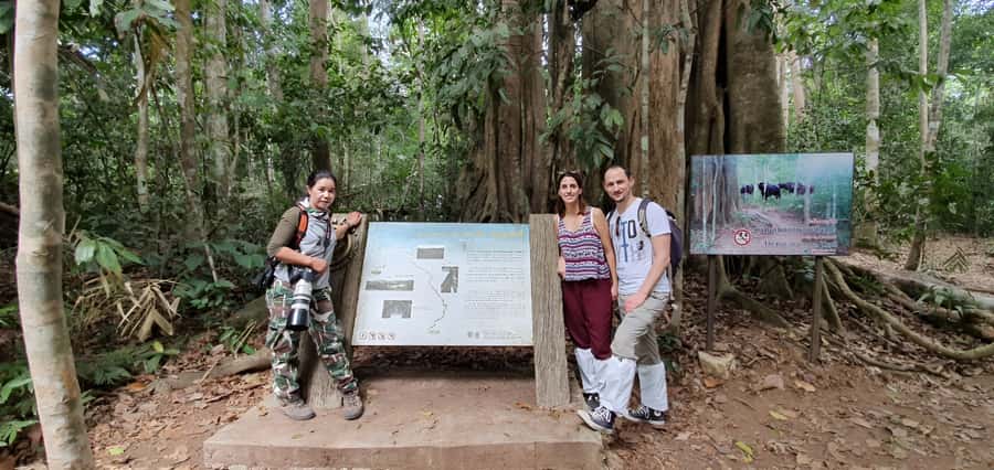 From Bangkok: Khao Yai National Park Jungle Trek with Lunch - Wanali Restaurant Lunch: Thai Food That Actually Feels Local
