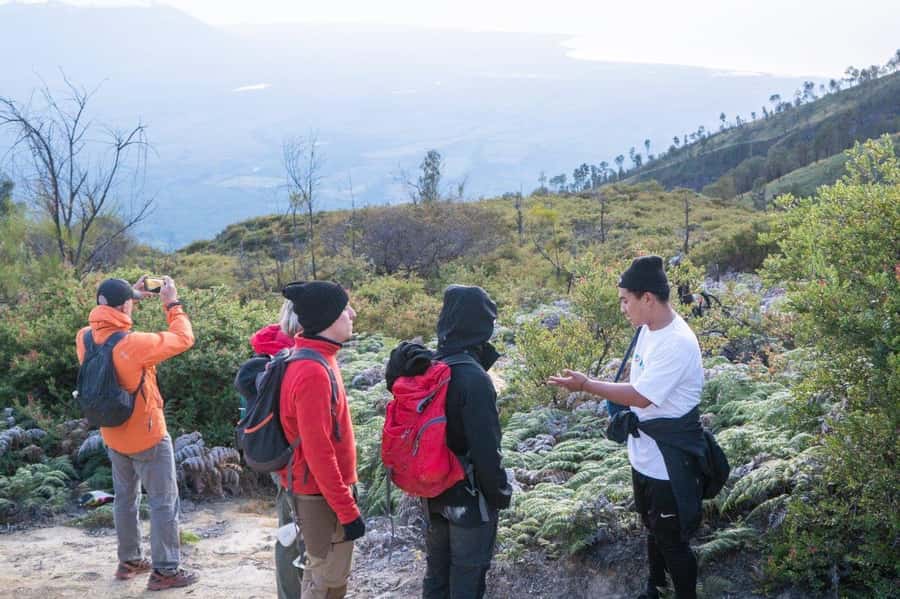 From Banyuwangi: Day Trip to Ijen Volcano with Guided Trek - Key things you’ll notice on this Ijen tour