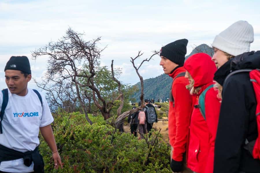 From Banyuwangi: Day Trip to Ijen Volcano with Guided Trek - Inside the crater views: the turquoise lake and what it means